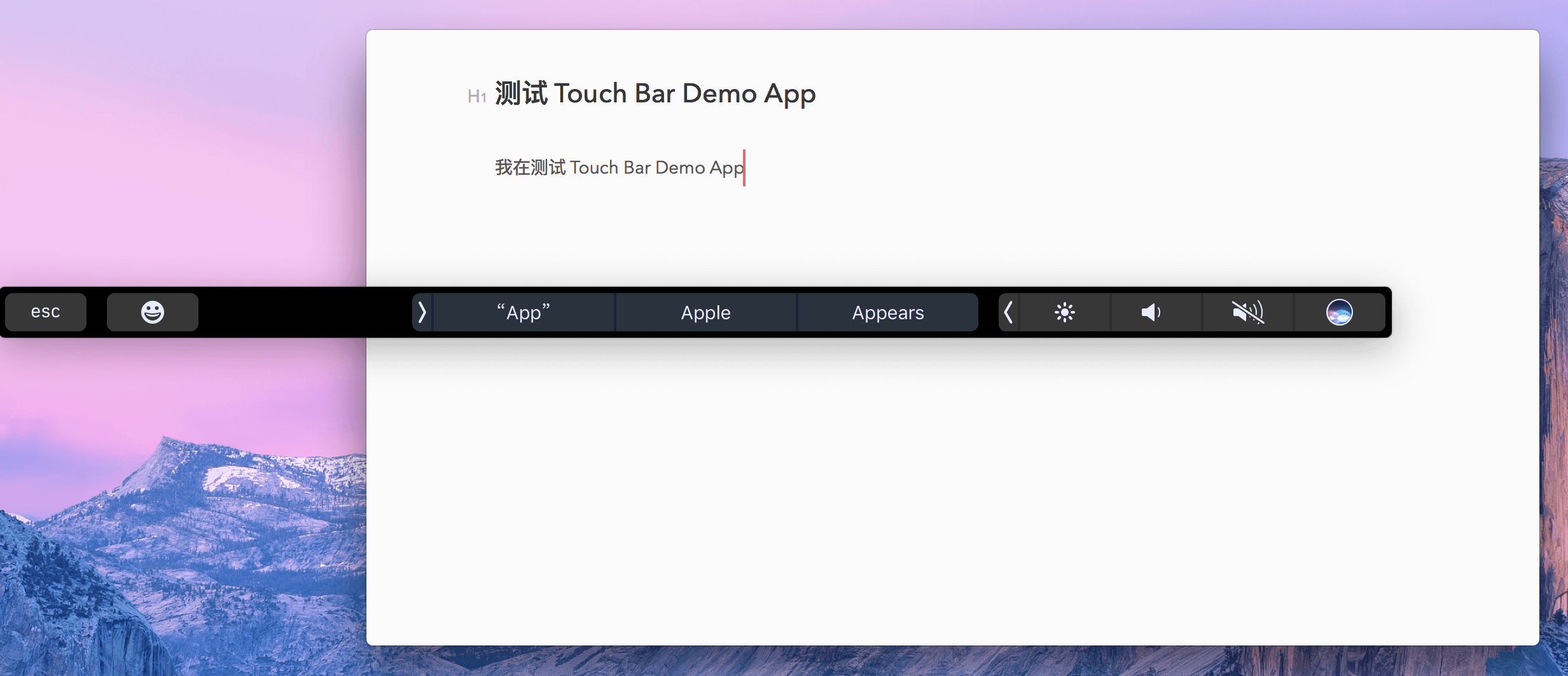 touchbardemoapp虚拟touchbar体验报告